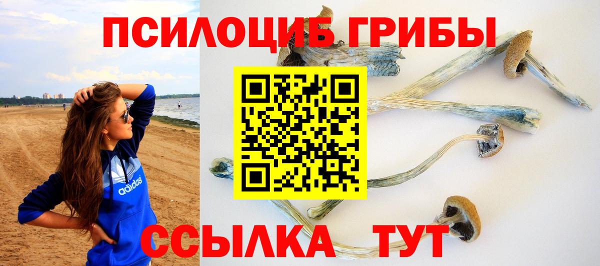 Псилоцибиновые грибы мухоморы  Вход с VPN  Псилоцибиновые грибы GOLDEN TEACHER  Чебаркуль 